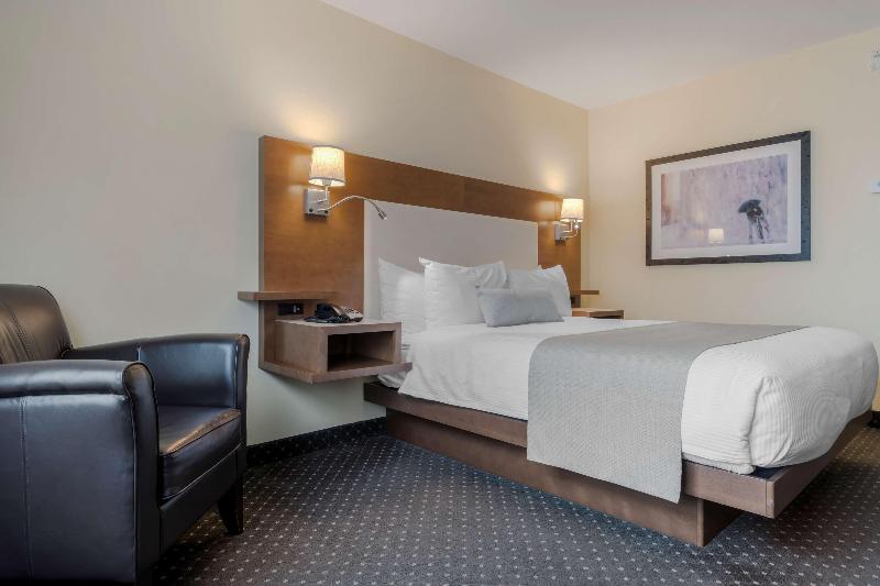 Номер Стандарт Адаптированный для Инвалидов, Best Western Plus Woodstock Hotel Conference Centre