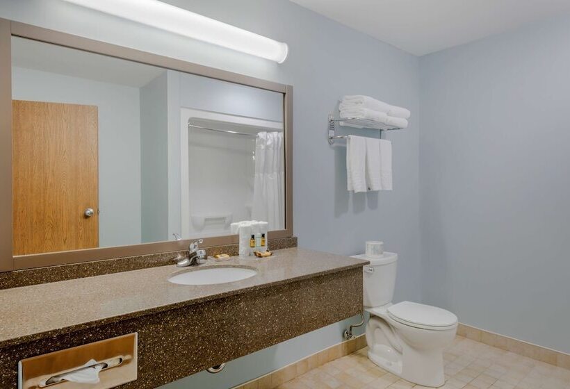 Люкс, Best Western Plus Woodstock Hotel Conference Centre