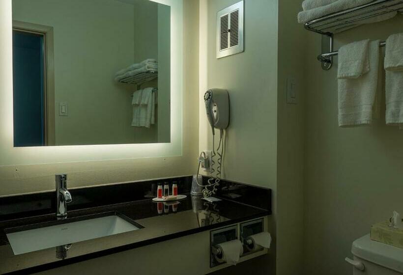 스탠다드 룸, Motel 6 Sault Ste. Marie, On