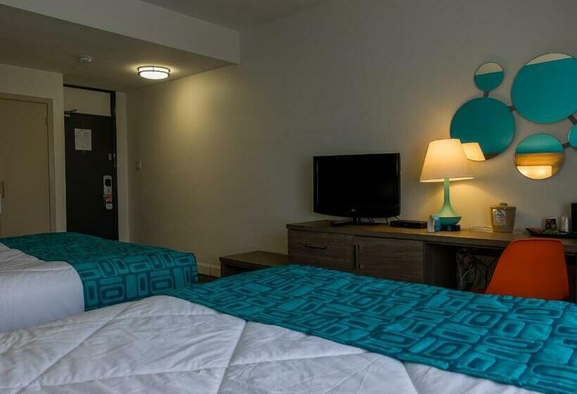 اتاق استاندارد, Motel 6 Sault Ste. Marie, On