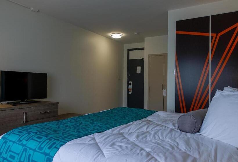 اتاق استاندارد با تخت بزرگ, Motel 6 Sault Ste. Marie, On