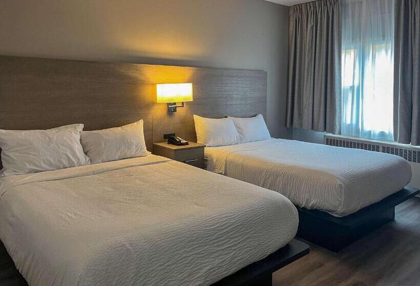 اتاق استاندارد, Motel 6 Sault Ste. Marie, On
