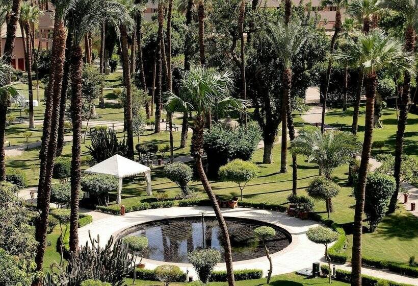 اتاق کلاسیک با تخت دوبل, Pavillon Winter Luxor