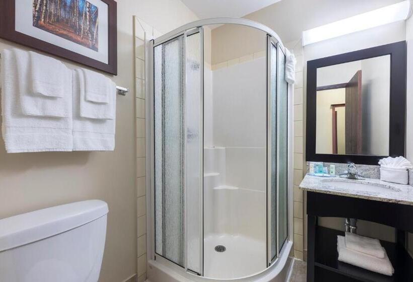 Номер Стандарт с Гидромассажем, Quality Inn Airport