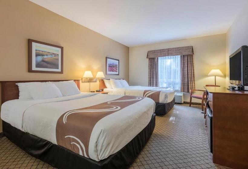 Номер Стандарт с Гидромассажем, Quality Inn Airport