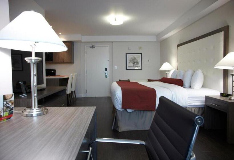 스탠다드 스튜디오 킹침대, Admiral Inn Mississauga