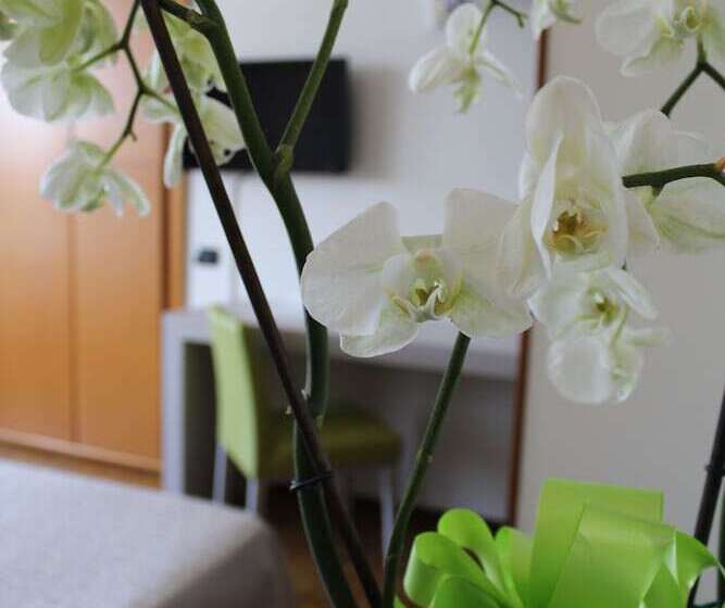 Студия Стандарт, Residence Holiday