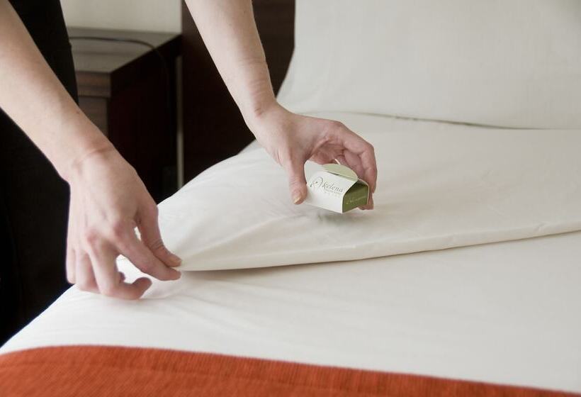 اتاق استاندارد با چشم‌انداز دریاچه, Xelena Hotel & Suites