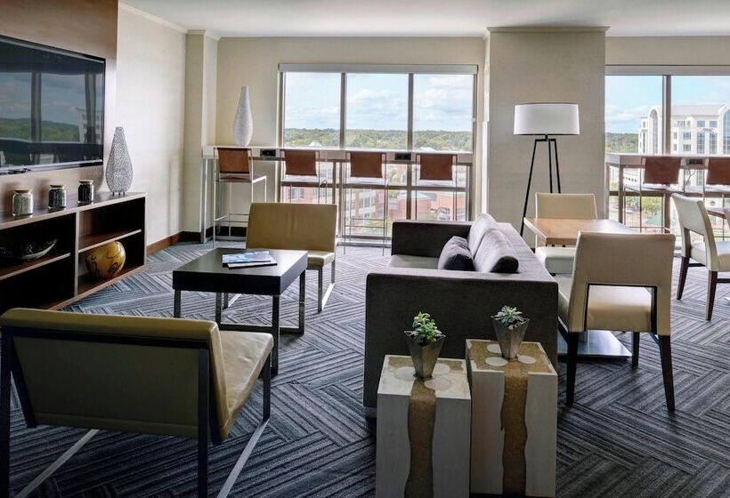 Номер Стандарт 2 Двуспальные Кровати, Newport News Marriott At City Center