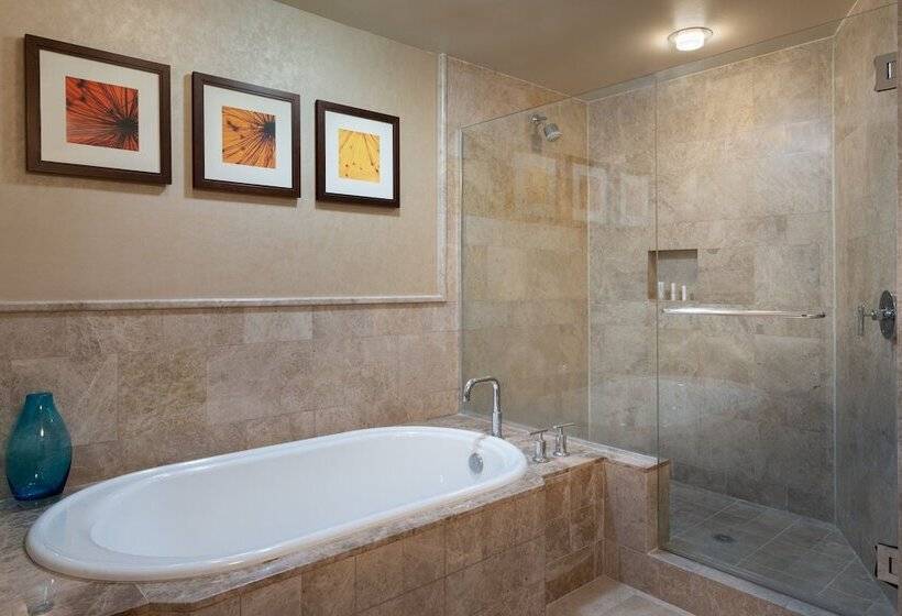 Апартаменты 2 Спальни Вид на Море, Palm Beach Marriott Singer Island Beach Resort & Spa