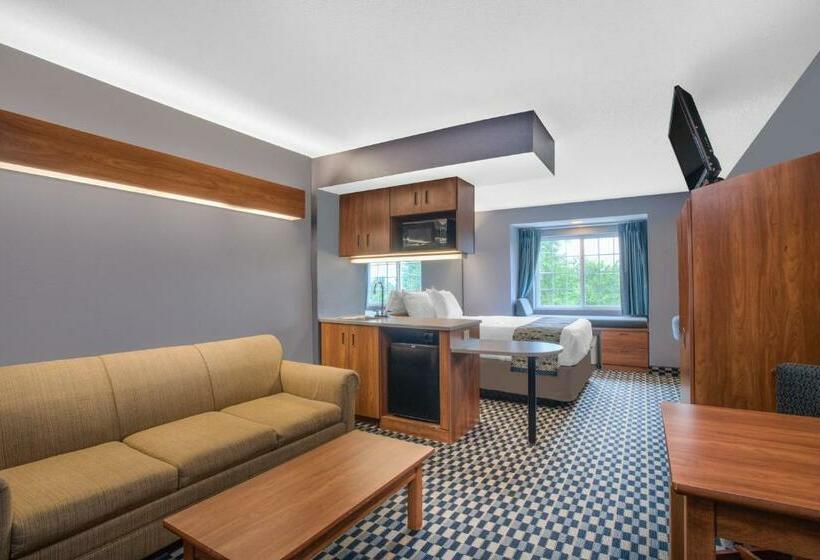 سوییت, Microtel Inn And Suites Dover