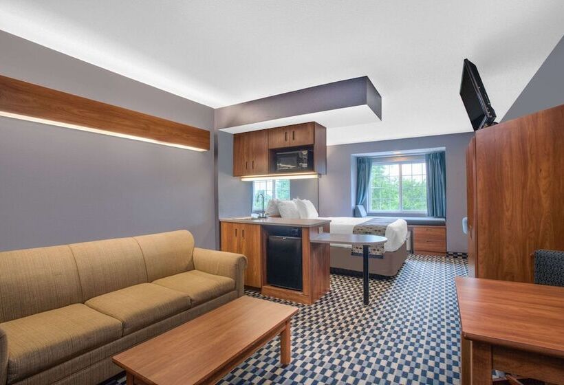 سوییت, Microtel Inn And Suites Dover