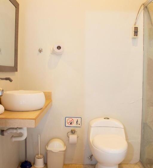 اتاق استاندارد با تخت بزرگ, Origenes Spa & Lodging