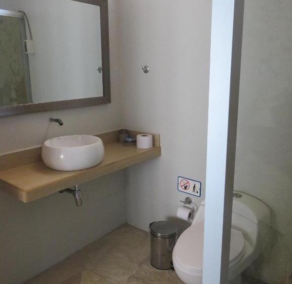 اتاق استاندارد با تخت بزرگ, Origenes Spa & Lodging