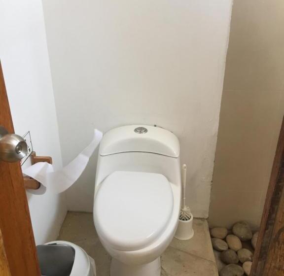 اتاق لوکس, Origenes Spa & Lodging