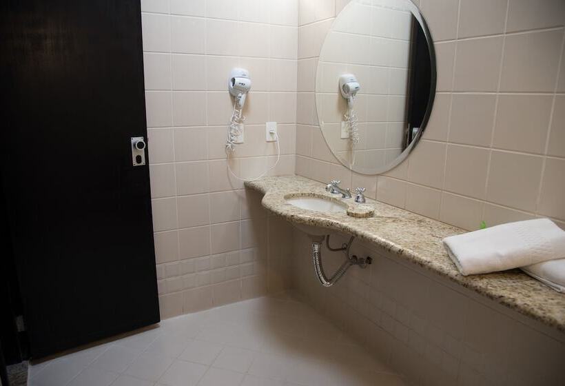 Номер Deluxe, Ibis Styles Rio Preto Monte Libano