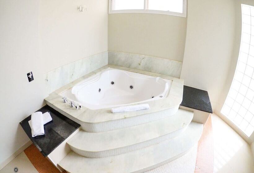Полулюкс, Ibis Styles Rio Preto Monte Libano