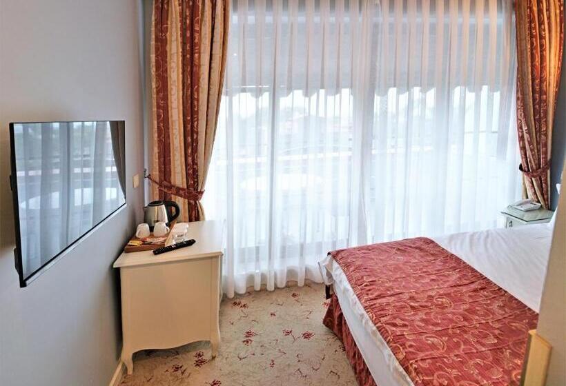 اتاق استاندارد با چشم‌اندازهای پانوراما, The And Hotel Sultanahmet  Special Category