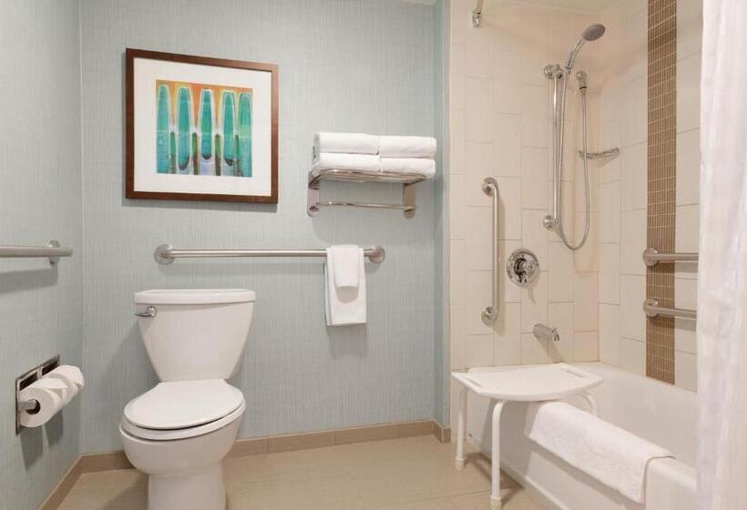Номер Стандарт Кровать Кинг Адаптированный для Инвалидов, Hyatt Place Fremont/silicon Valley