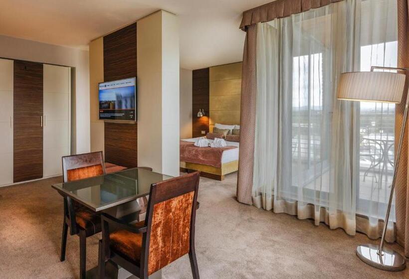 سوییت, Absolute Hotel Limerick