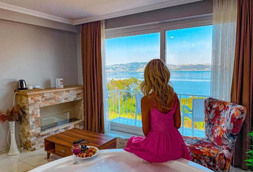 اتاق استاندارد با وان آب گرم, Sapanca View