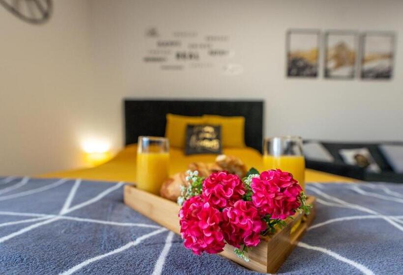 استودیوی سوپریور, Adonis Dreams Zlatibor