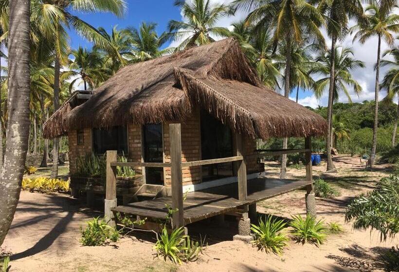 کلبه ییلاقی, Pousada Mar Dos Algodões   Praia De Algodões