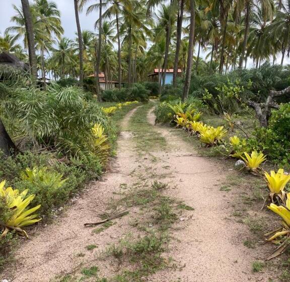 کلبه ییلاقی, Pousada Mar Dos Algodões   Praia De Algodões