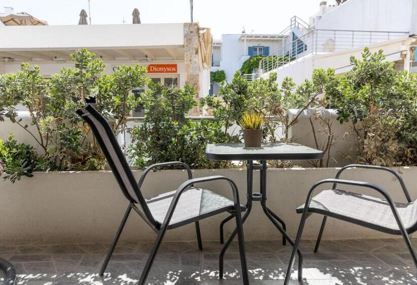 اتاق لوکس با بالکن, Naxos Petite Studios