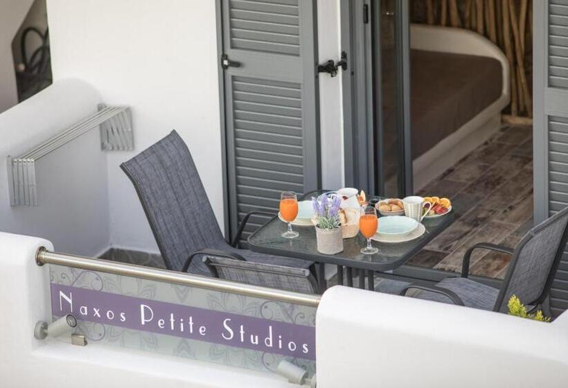 اتاق لوکس سه تخته, Naxos Petite Studios