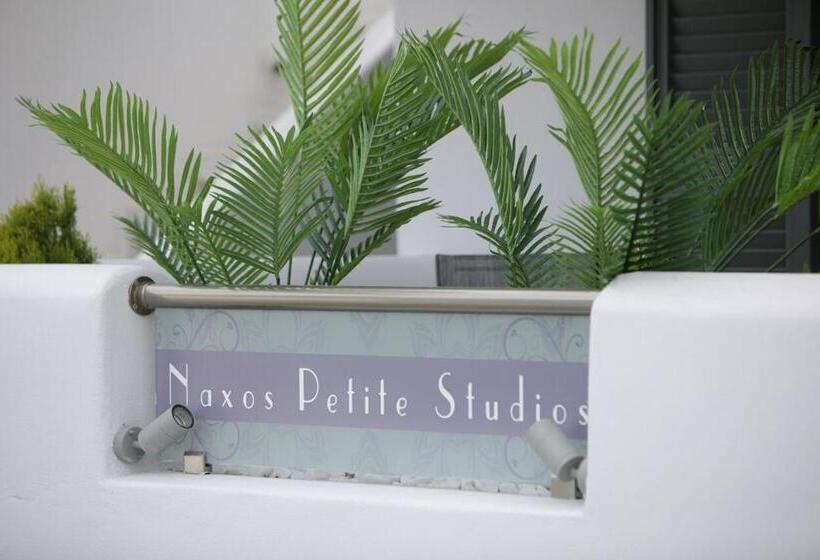 اتاق لوکس سه تخته, Naxos Petite Studios