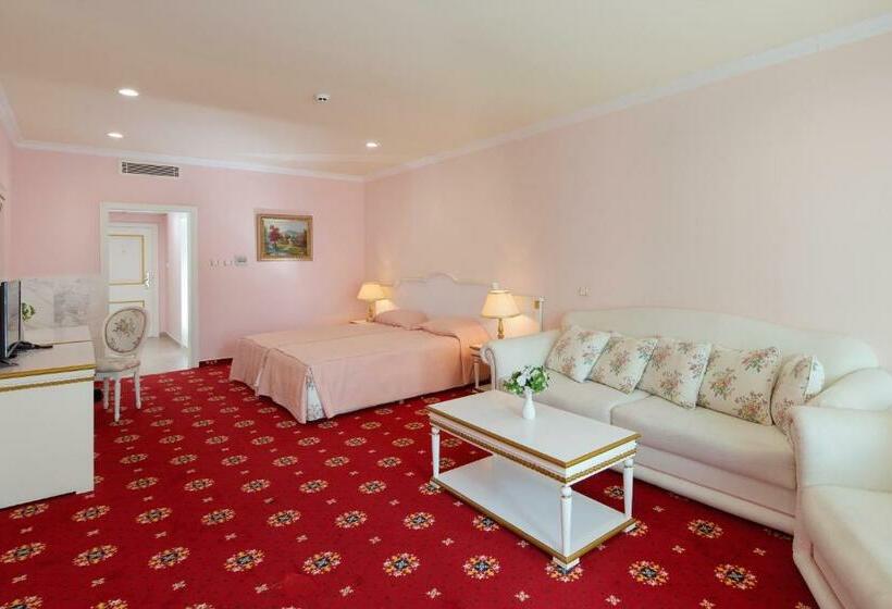 اتاق سوپریور, Planeta Hotel & Aquapark Free Beach Access   Ultra All Inclusive