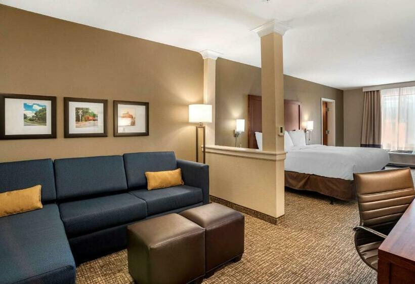 Quarto Estandar Cama King para Deficientes Físicos, Comfort Inn & Suites