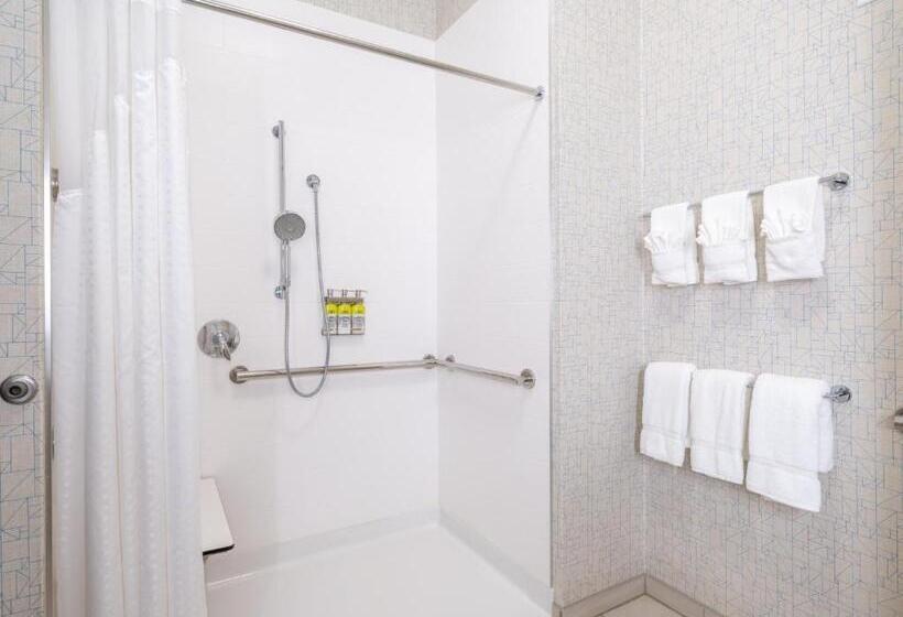 اتاق استاندارد با تخت بزرگ برای معلولان, Holiday Inn Express & Suites   Watertown, An Ihg