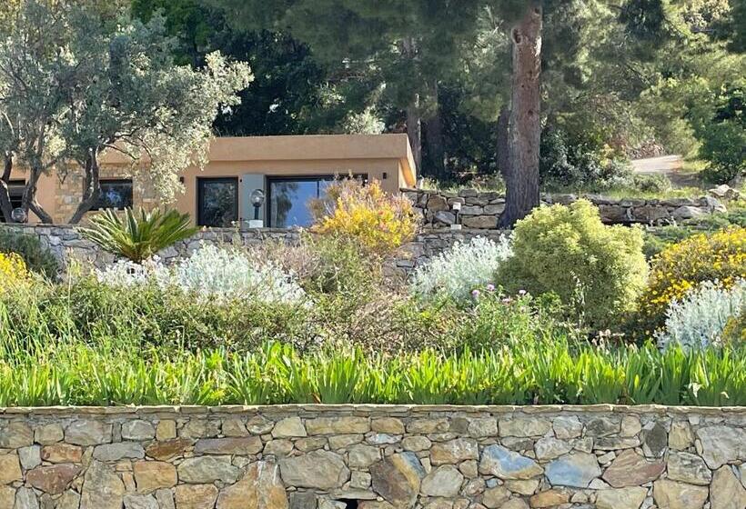 Люкс Deluxe Вид на Море, Maison Chaban Sanary Sur Mer