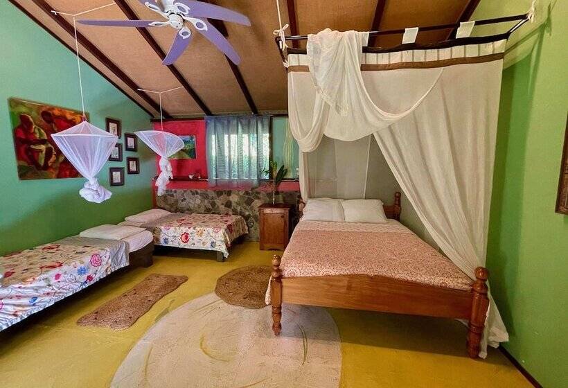 اتاق خانوادگی, Cocoa Cottage