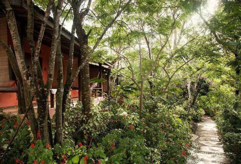 Номер Стандарт Вид на Сад, Vila Esperança