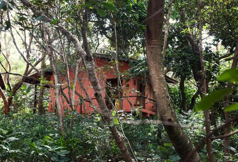 Шале Superior 1 Спальня, Vila Esperança