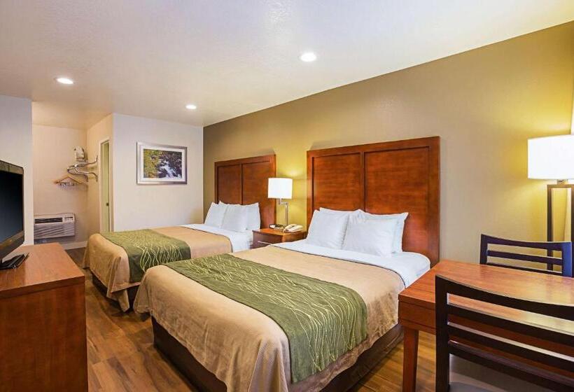 스탠다드 룸, Comfort Inn Bishop