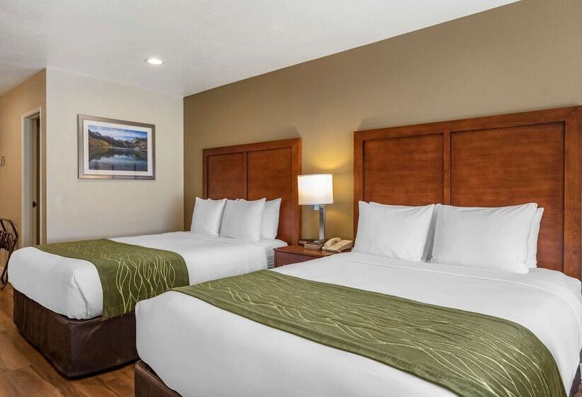 장애인을 위한 스위트, Comfort Inn Bishop