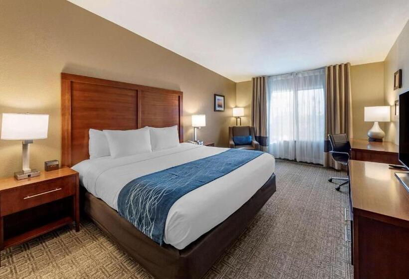 Номер Стандарт Кровать Кинг Адаптированный для Инвалидов, Comfort Inn & Suites Ventura Beach