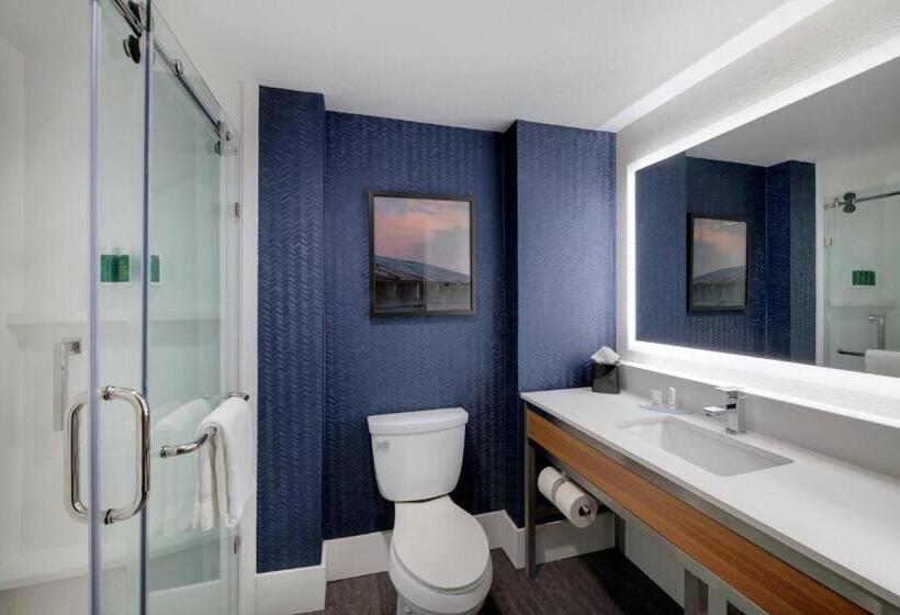 带大床的套房, Fairfield Inn & Suites Columbia Downtown