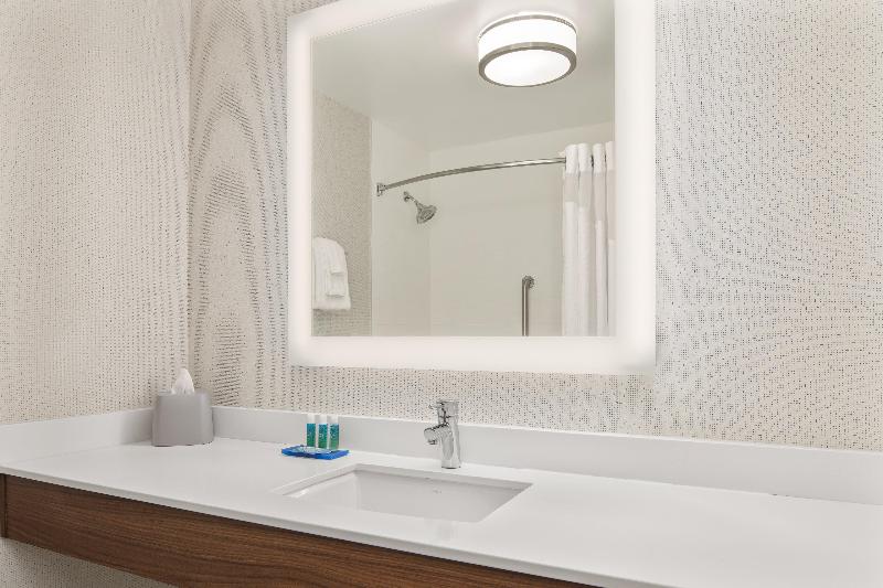 스탠다드 룸 킹사이즈 침대, Holiday Inn Express Hotel Sacramento Airport Natomas By Ihg