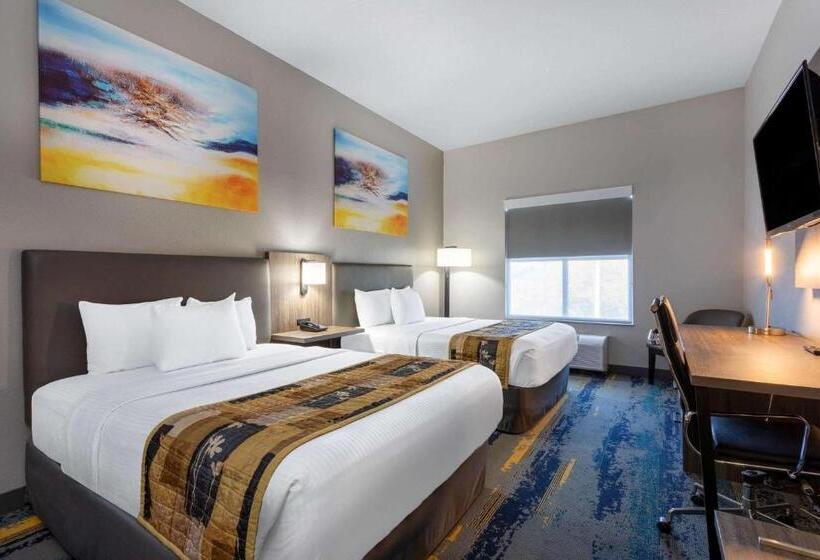 اتاق استاندارد, La Quinta By Wyndham Tampa Central