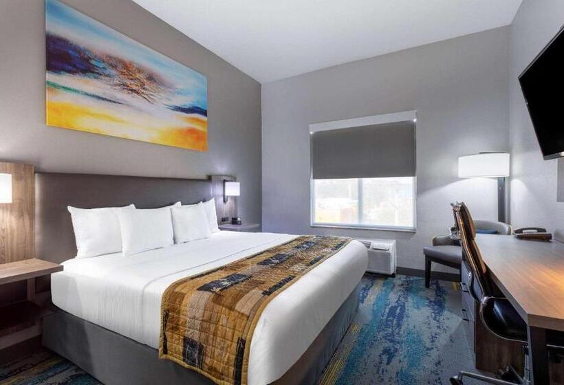 חדר סטנדרט עם מיטת קינג, La Quinta By Wyndham Tampa Central