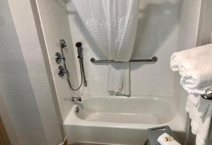 اتاق استاندارد برای معلولان, La Quinta By Wyndham Tampa Central