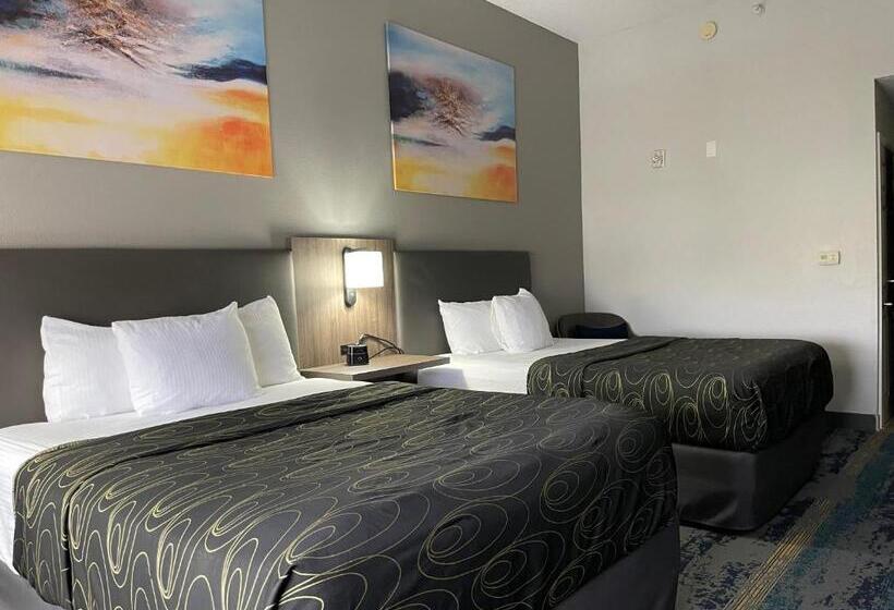 اتاق استاندارد برای معلولان, La Quinta By Wyndham Tampa Central