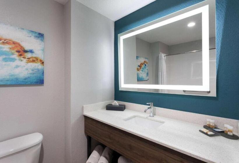 דירת חדר, La Quinta By Wyndham Tampa Central