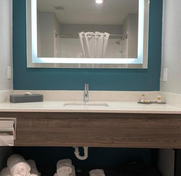 סוויטת סופריור, La Quinta By Wyndham Tampa Central