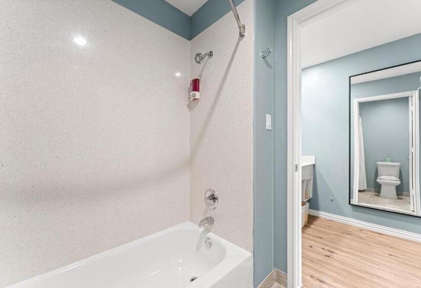 Номер Комфорт, Executive Inn & Suites Magnolia